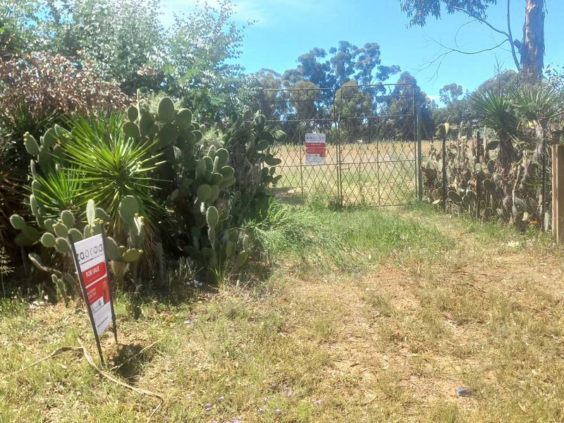 Build Your Dream Home/Business on Expansive Land in Walkerville - Photo 10