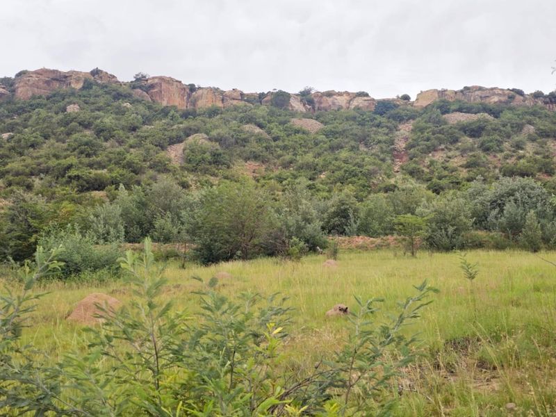 "The Perfect Blank Canvas: Create Your Mountain Haven! - Photo 5