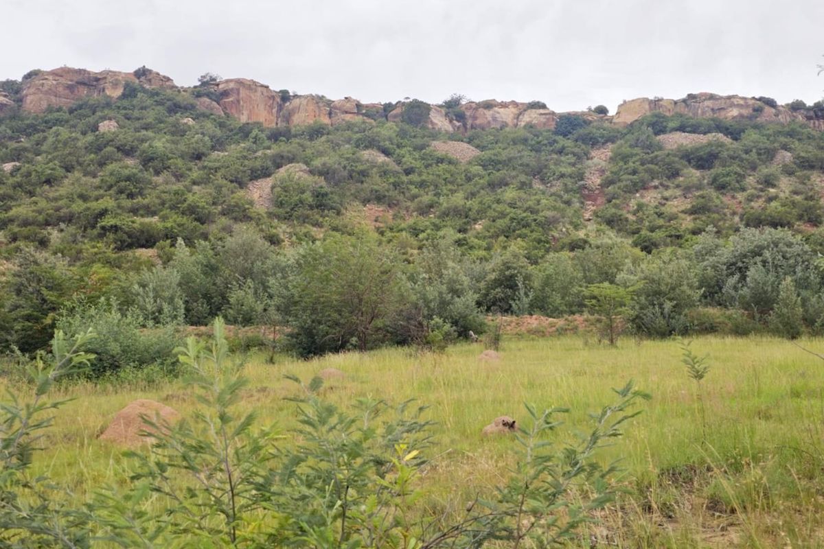 "The Perfect Blank Canvas: Create Your Mountain Haven! - Photo 5