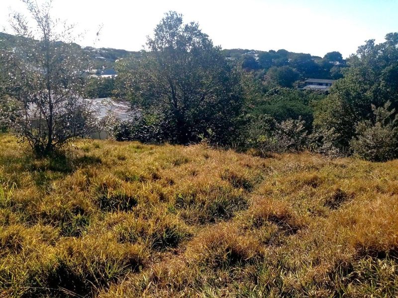 Vacant Land with Approved Architectural Masterpiece - Photo 3