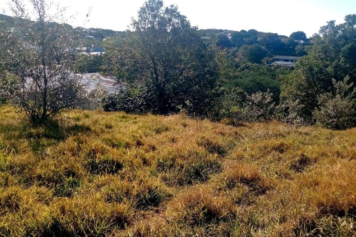 A view of the sloped, grass-covered vacant residential land with surrounding mature trees and distant neighborhood houses.
