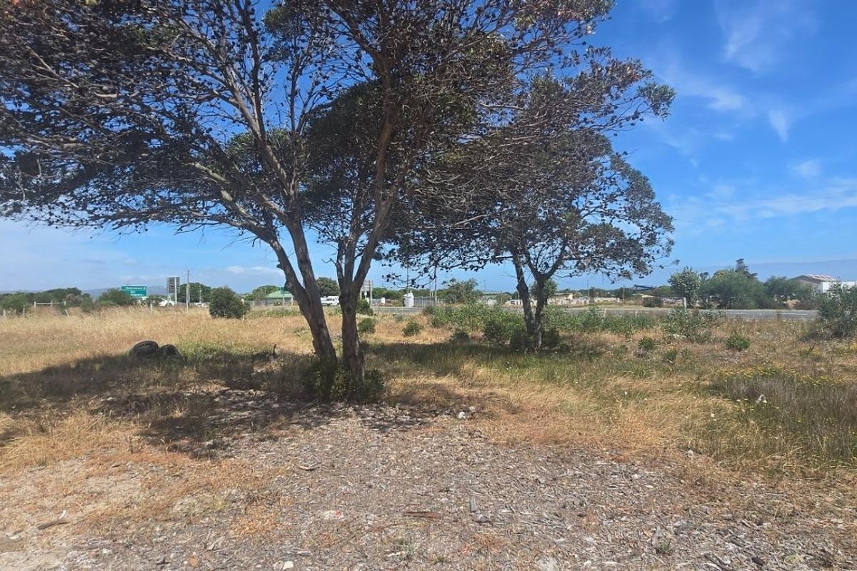 Coastal Lifestyle Farm & Development Opportunity – Erf 1235, Franskraal - Photo 3