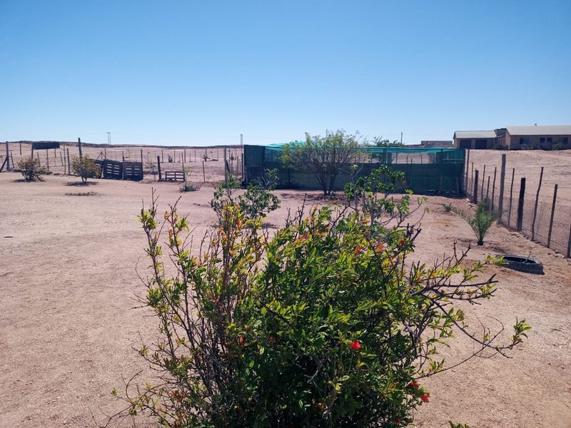 Expansive outdoor garden area featuring wire fencing and a shade netting structure on a small holding property.