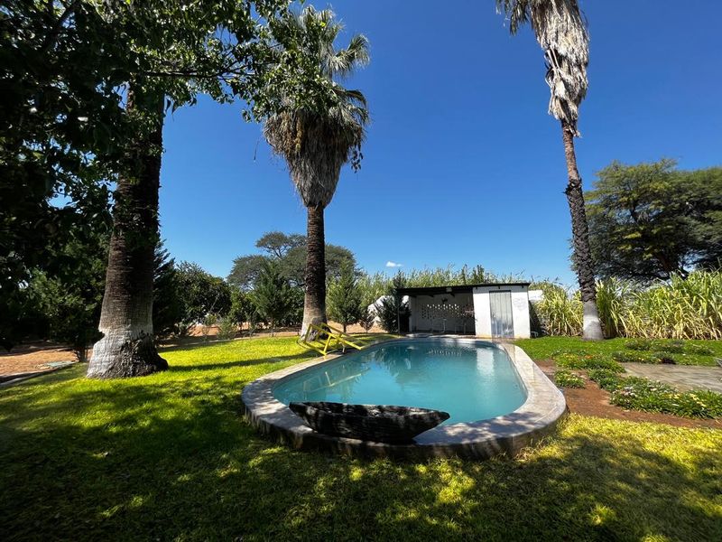 Outdoor pool area featuring a swimming pool, mature palm trees, and a small covered patio structure set within a landscaped garden.