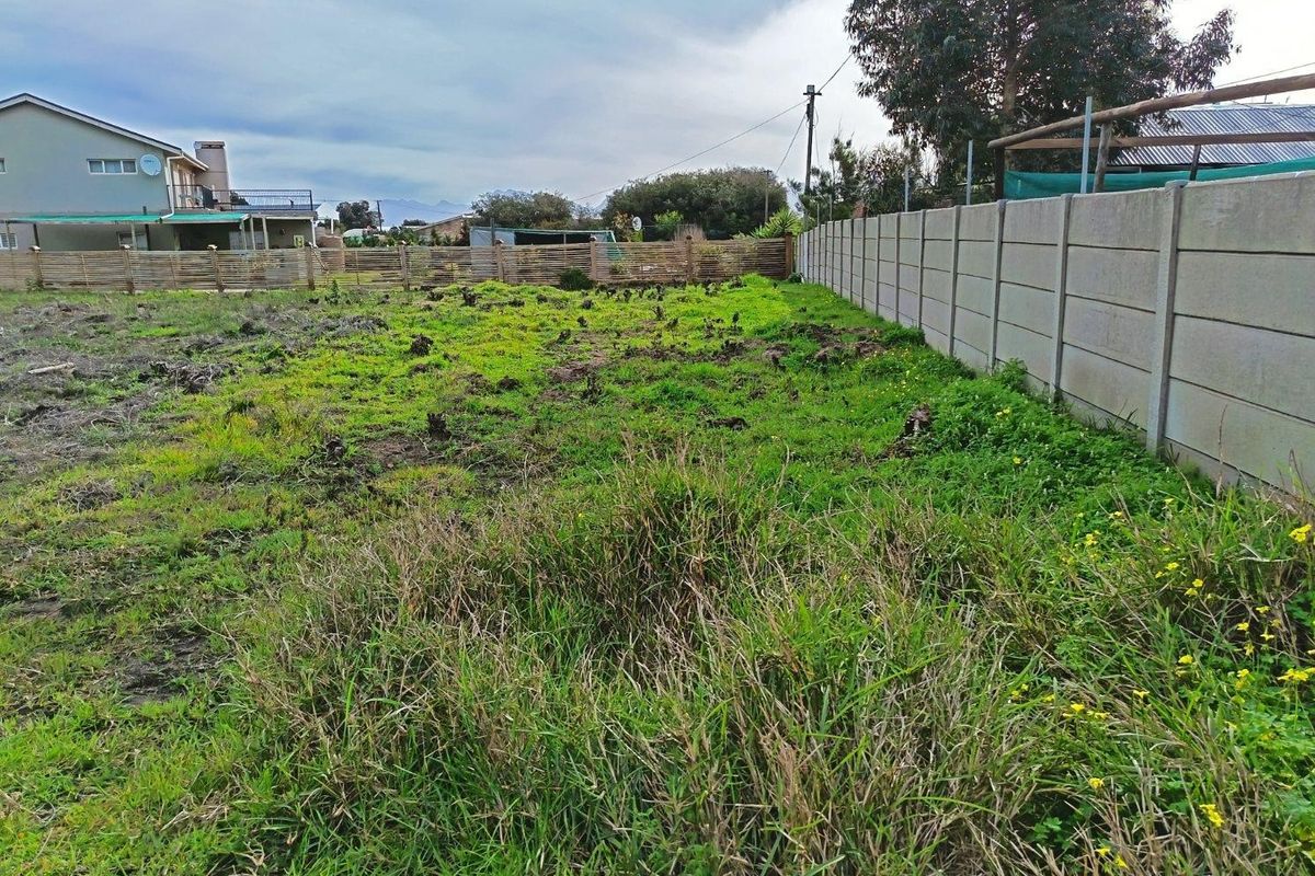 Two for the price of one - Photo 4