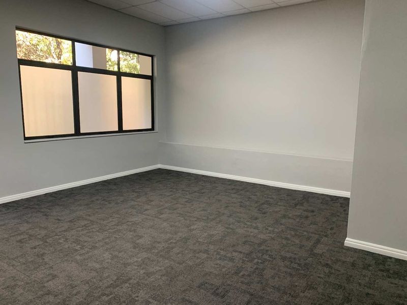 A clean, empty office space featuring neutral grey walls, dark patterned carpeting, and a suspended ceiling with large windows providing natural light.