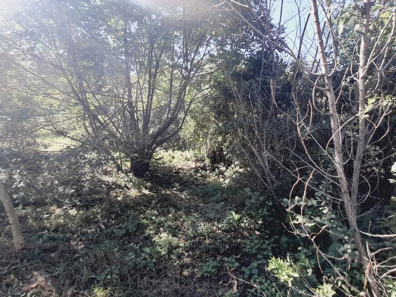 "Kosmos Ridge: Luxury Living with Nature's Backdrop!" - Photo 8