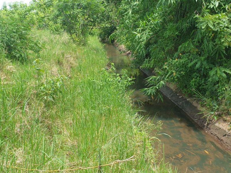 Lovely farm for sale with good soil and ready for its new owner with ambition. - Photo 2