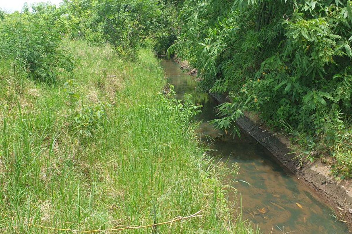 Lovely farm for sale with good soil and ready for its new owner with ambition. - Photo 2