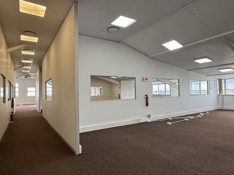 Spacious open-plan office area featuring suspended ceilings, recessed lighting, carpeted flooring, and internal glass partitions, offering a versatile workspace layout.