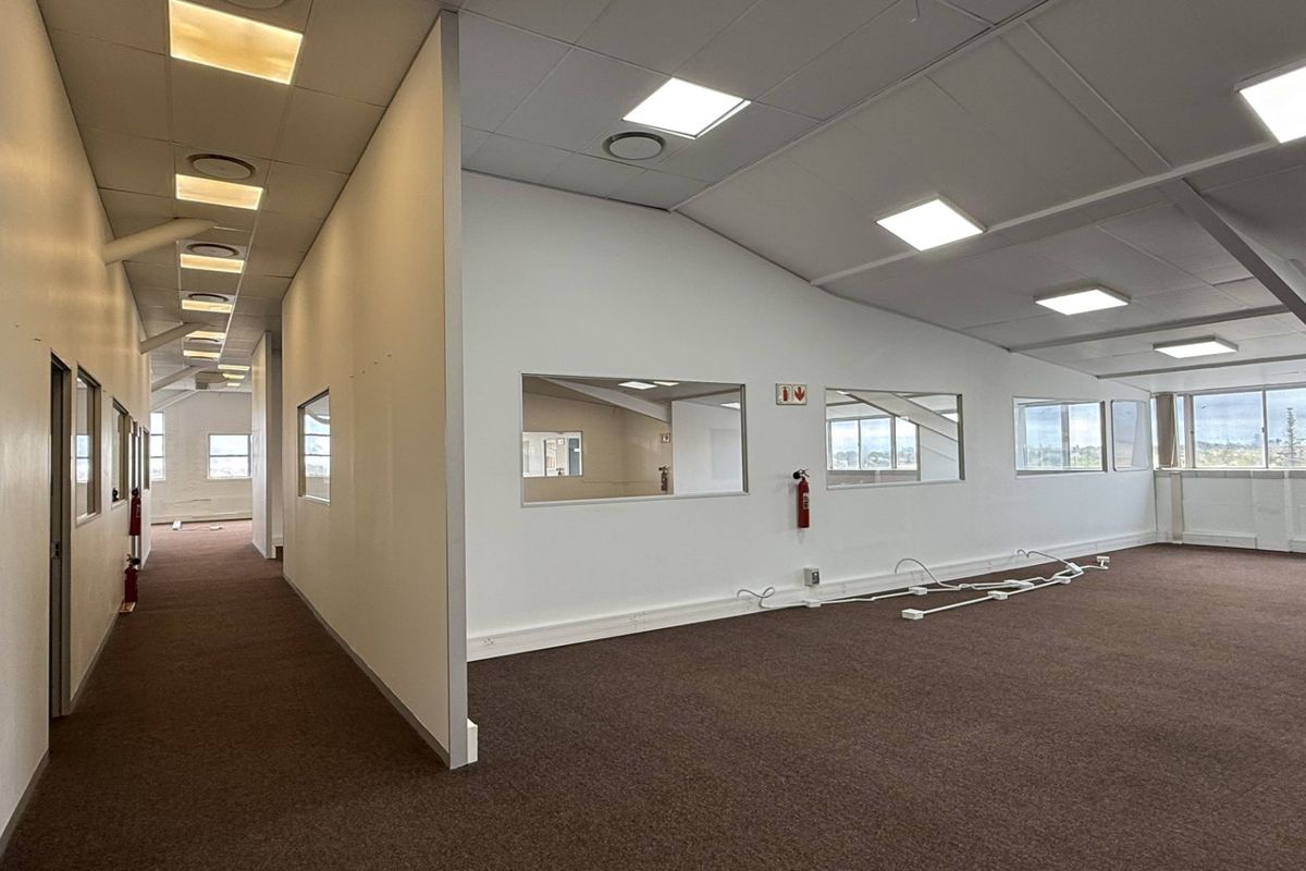 Spacious open-plan office area featuring suspended ceilings, recessed lighting, carpeted flooring, and internal glass partitions, offering a versatile workspace layout.
