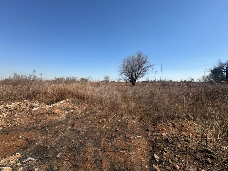 A view of a vacant residential plot featuring natural vegetation and signs of recent ground clearing or fire damage.