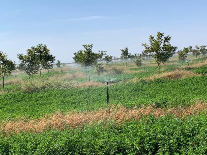 CATTLE FARM FOR SALE IN OTJOZONDJUPA REGION - Photo 4