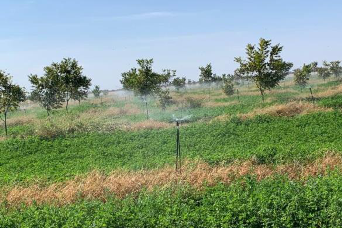 CATTLE FARM FOR SALE IN OTJOZONDJUPA REGION - Photo 4