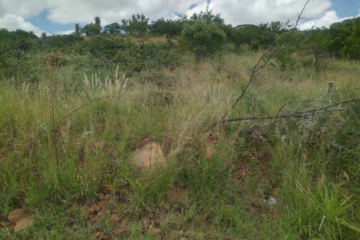 Stand for sale in Mabopane M - Photo 4