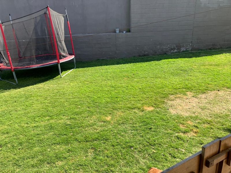 A private backyard area featuring a grass lawn and a perimeter retaining wall.
