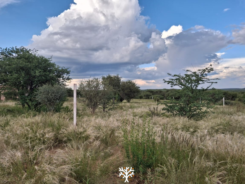 Camelthorn Estate | Vacant Erf with Approved Building Plans - Photo 2