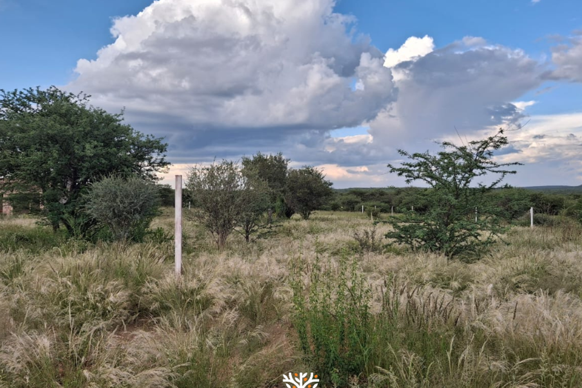 Camelthorn Estate | Vacant Erf with Approved Building Plans - Photo 2