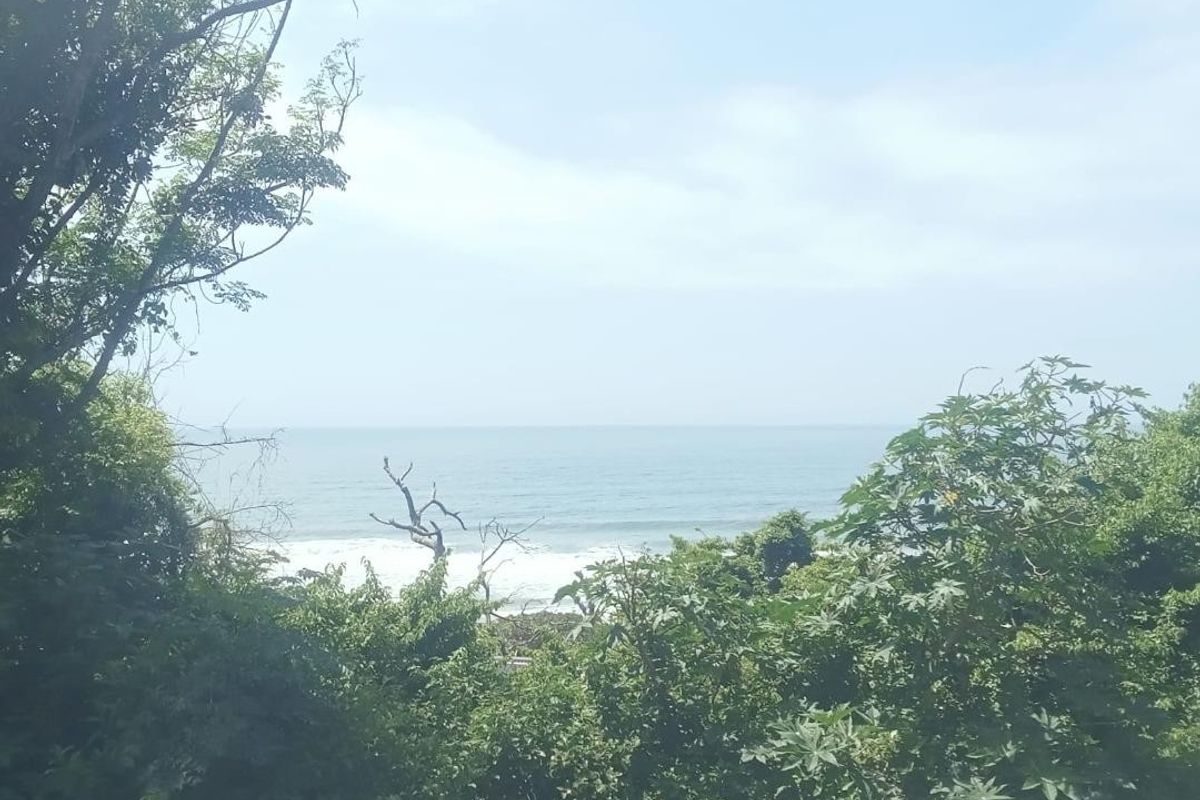 A scenic view of the ocean framed by lush coastal vegetation, showcasing the natural landscape of the vacant residential property.