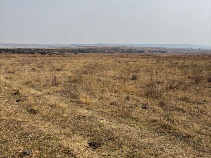 UNDEVELOPED FARM FOR SALE - Photo 9