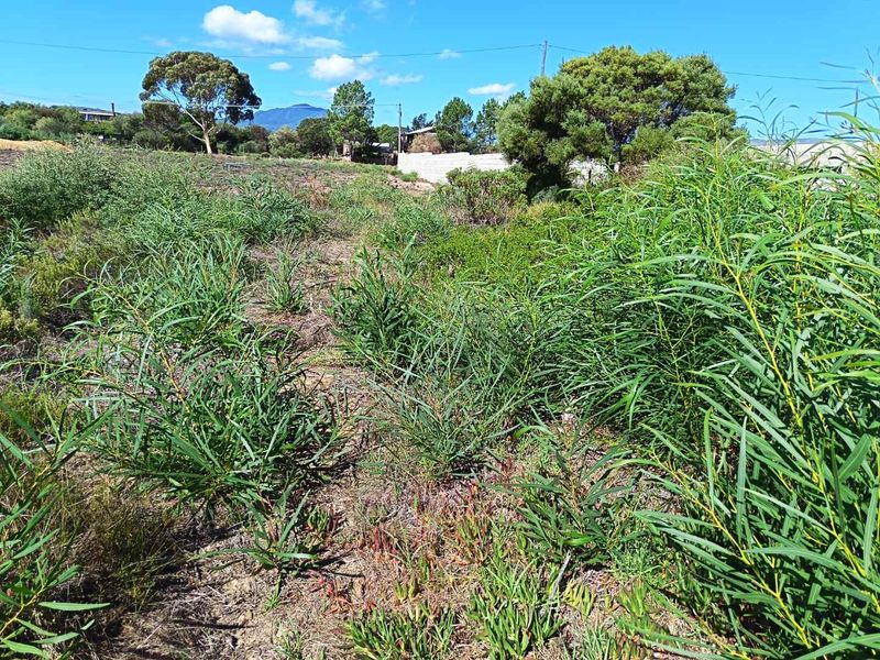 Where Mountains Meet Magnificent Sunsets - Photo 7