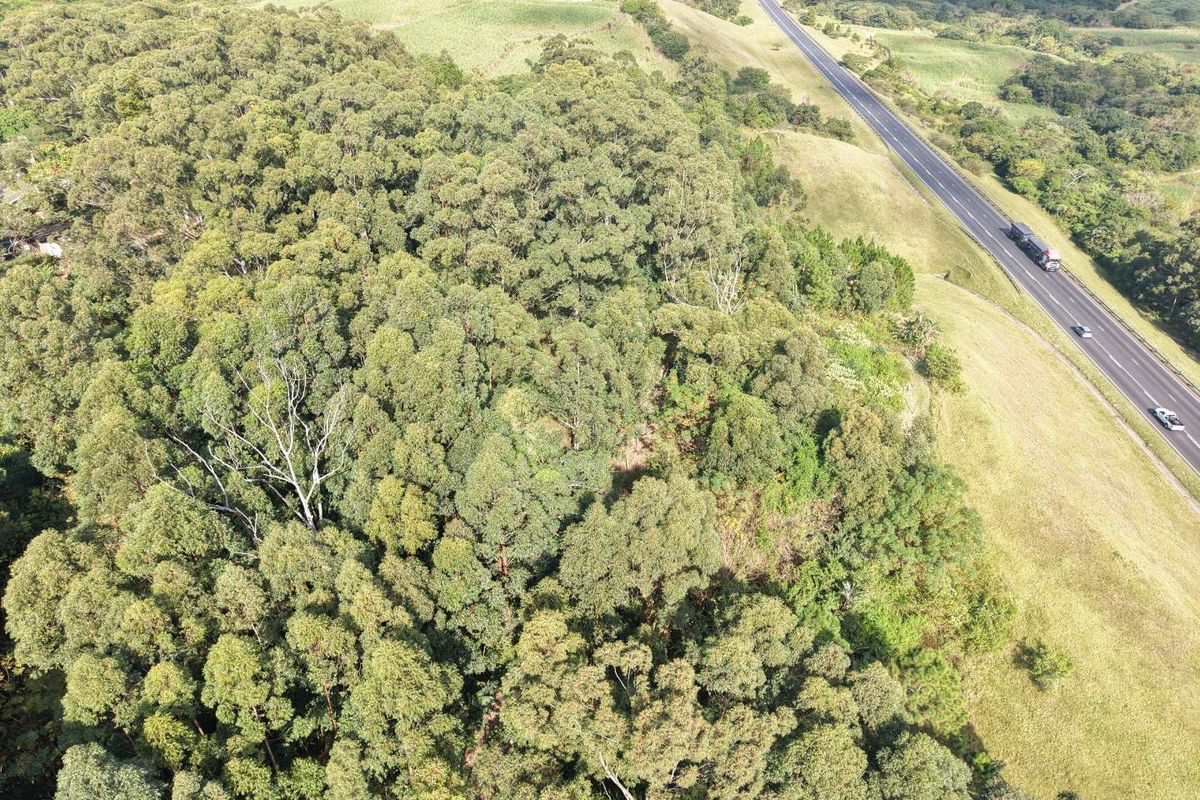 An aerial view of a large, heavily wooded residential land parcel situated adjacent to a main road.
