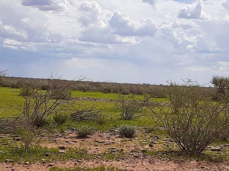 A wide-angle view of the expansive farm landscape featuring natural vegetation and open terrain under a cloudy sky.
