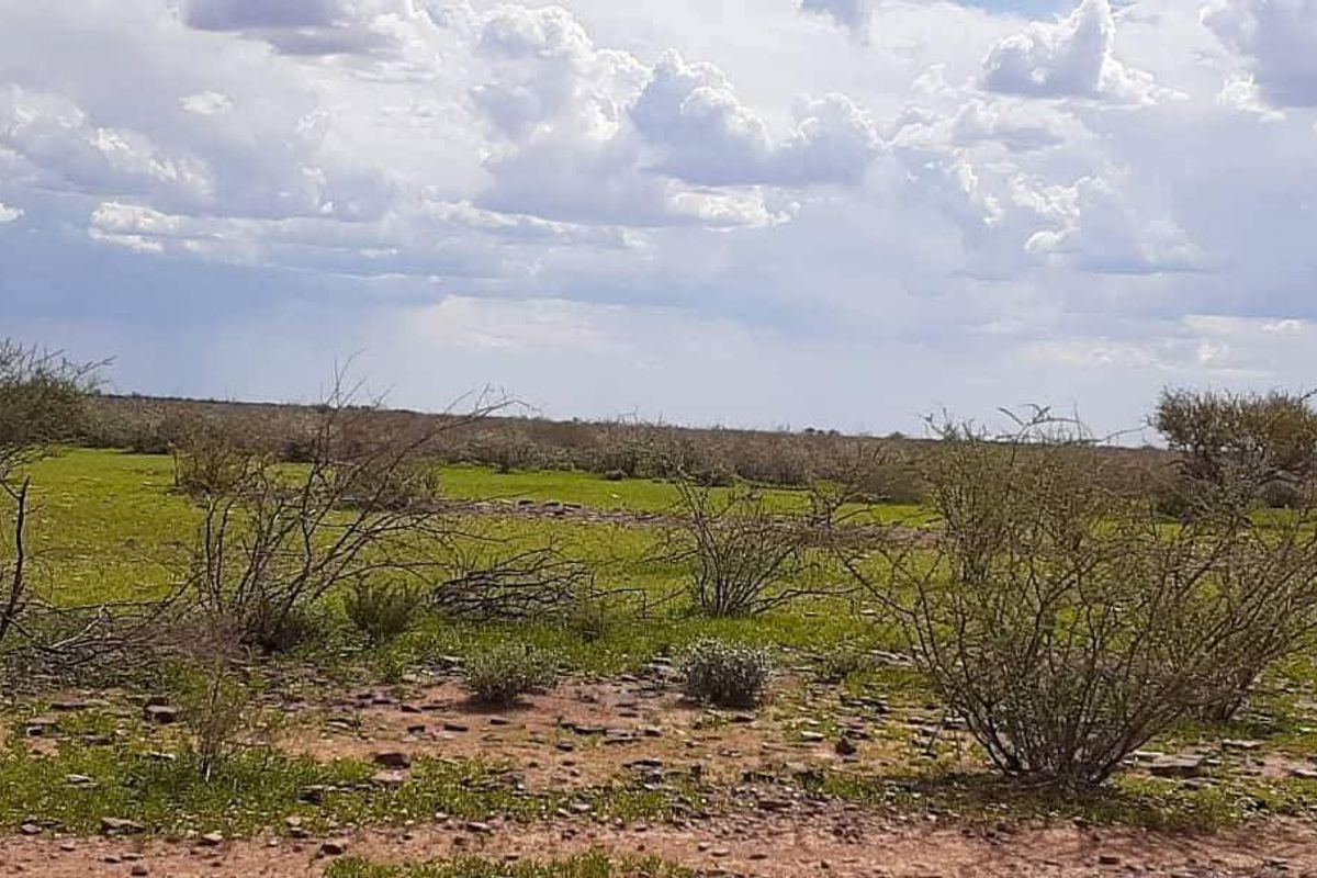 A wide-angle view of the expansive farm landscape featuring natural vegetation and open terrain under a cloudy sky.