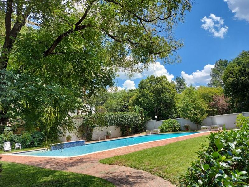 A well-maintained outdoor pool area featuring a long swimming pool, brick paving, and established garden landscaping.