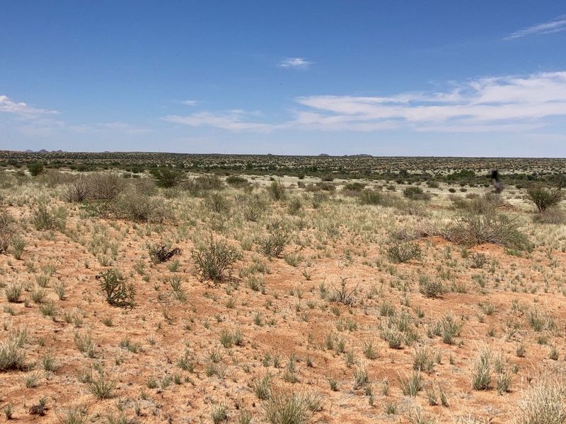 BEAUTIFULL FARM FOR SALE IN THE SOUTH OF NAMIBIA – PERENNIAL FOUNTAIN - Photo 5