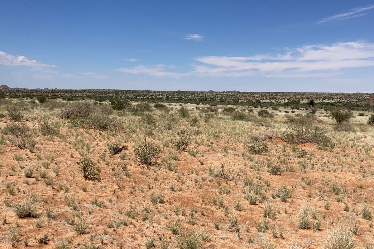 BEAUTIFULL FARM FOR SALE IN THE SOUTH OF NAMIBIA – PERENNIAL FOUNTAIN - Photo 5