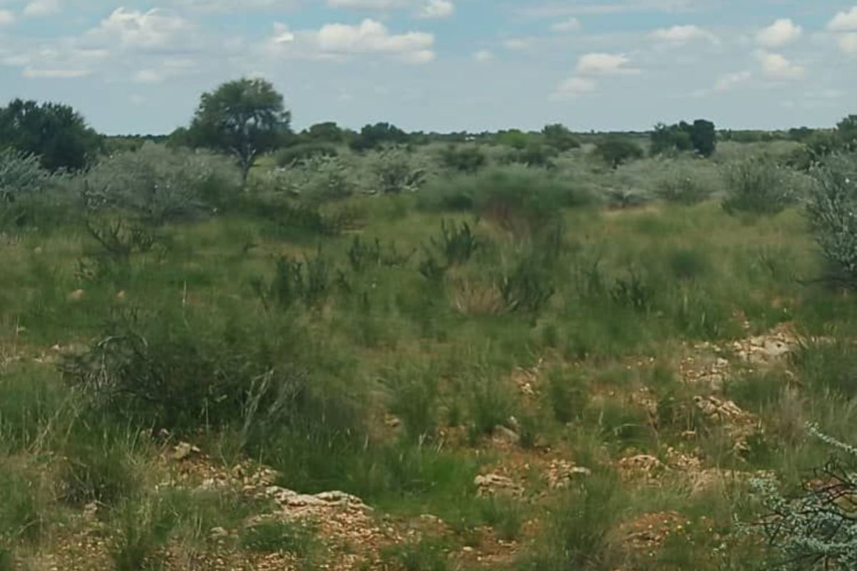 FOR SALE - FARM IN STAMPRIET, MARIENTAL AREA, NAMIBIA - Photo 4