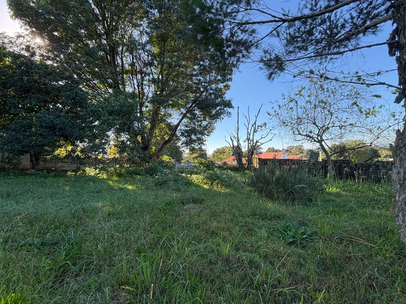 Prime Opportunity on Howick’s Main Artery - Photo 3