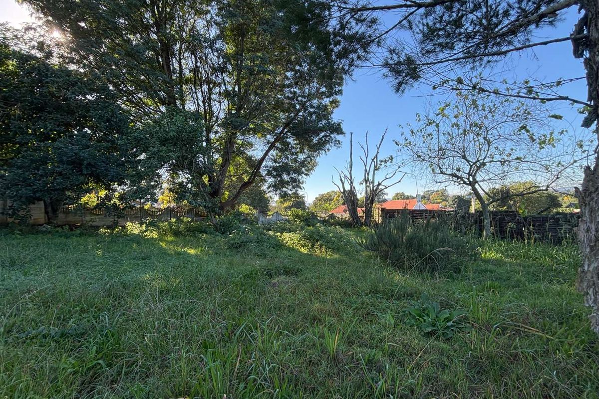 Prime Opportunity on Howick’s Main Artery - Photo 3