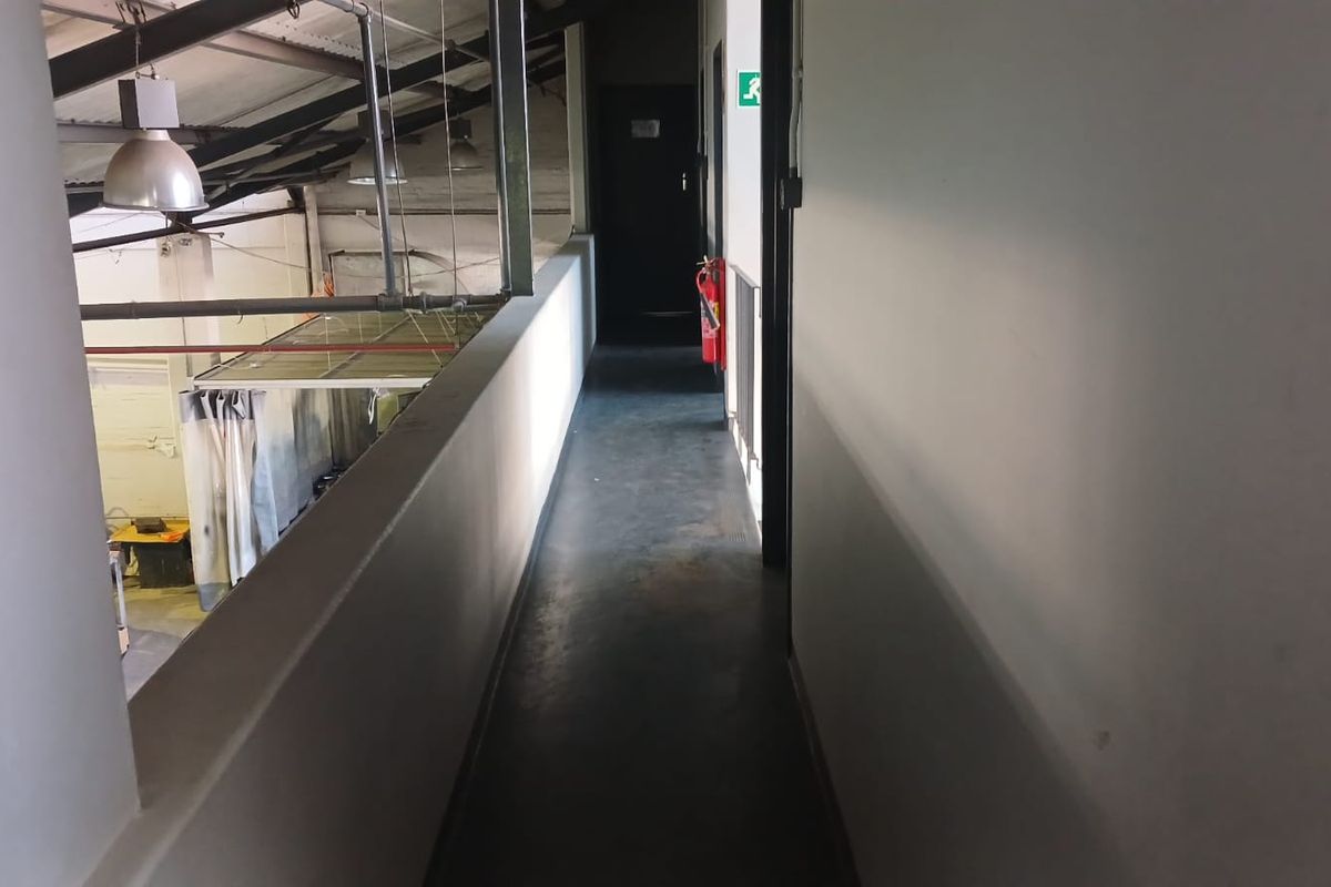 To Let | 2,973 sqm Industrial Warehouse | Paarden Eiland - Photo 5