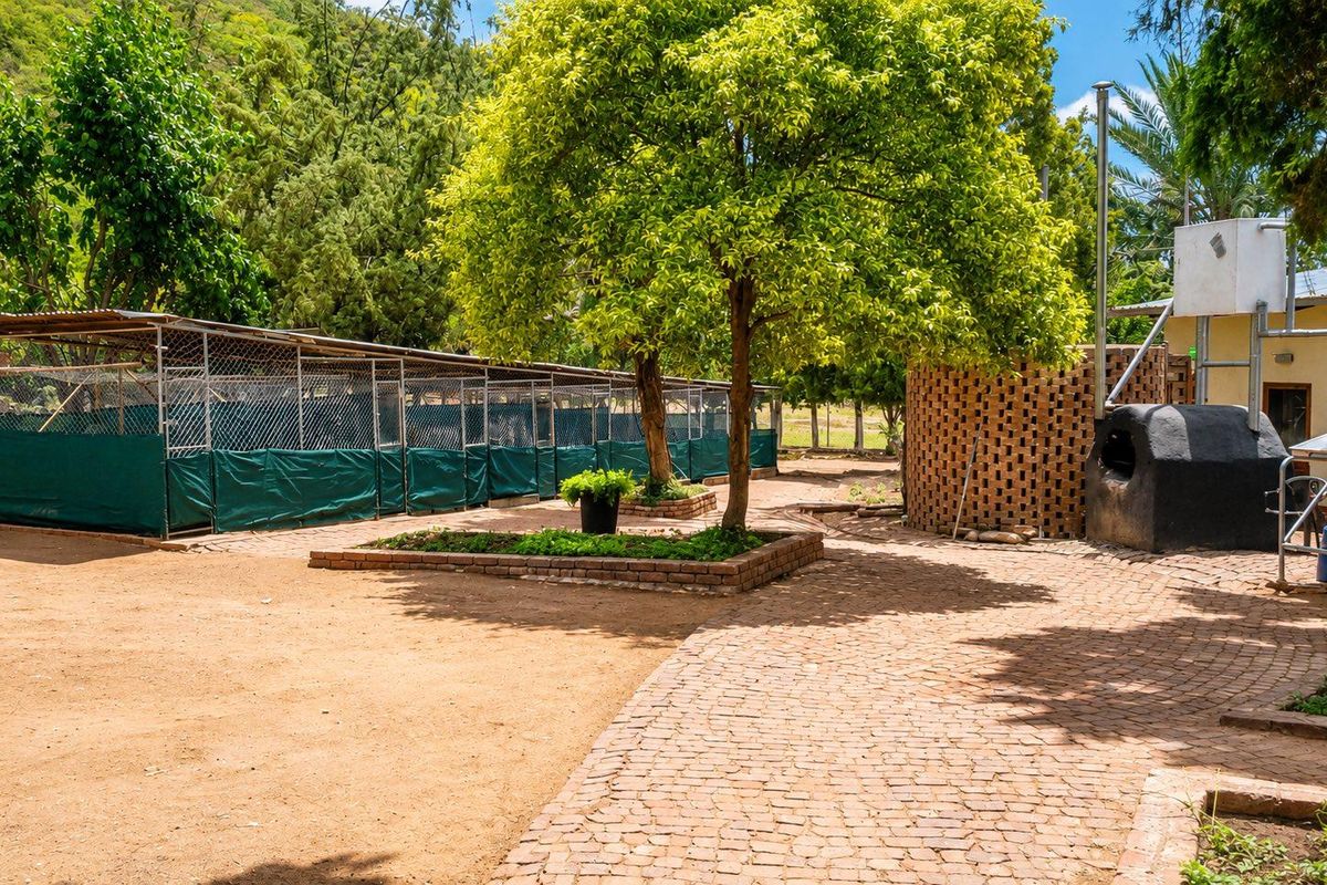 Outdoor area featuring brick paved pathways, established trees, brick planter beds, and a series of fenced enclosures suitable for small holding use.