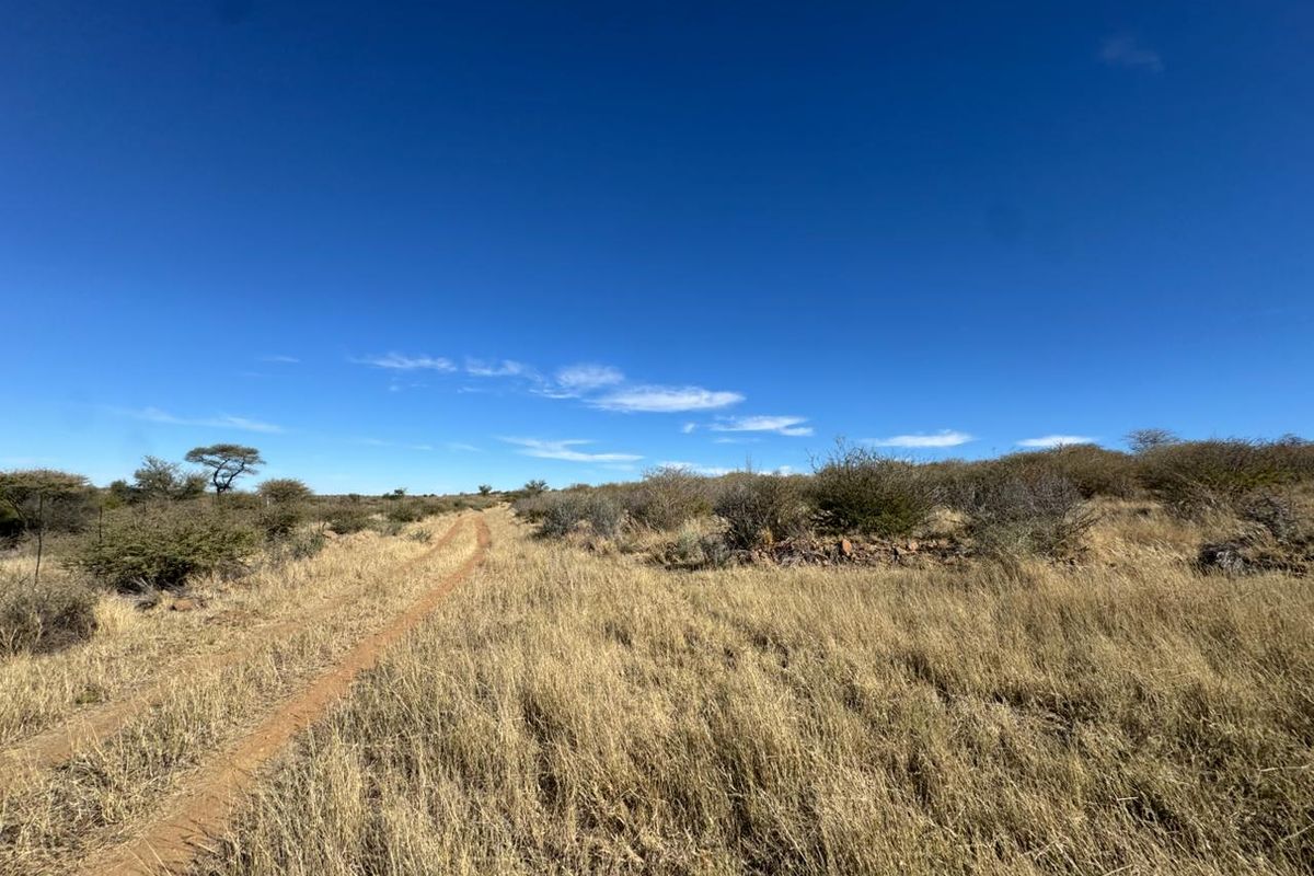 An expansive view of the small holding landscape featuring natural dry grassland, indigenous shrubs, and a dirt access track under a clear blue sky.