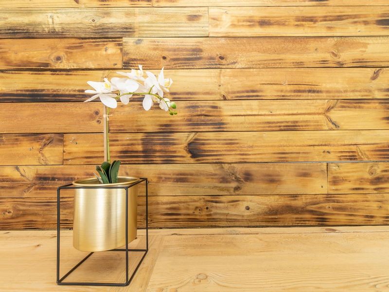 Sun-kissed country Estate family home - Photo 8