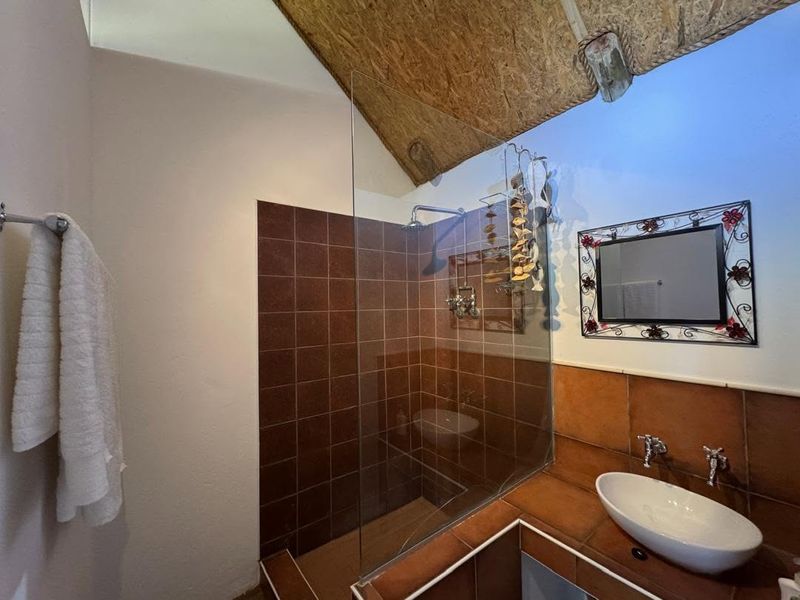 Bathroom featuring a glass-enclosed shower with brown tiling, a vessel sink on a tiled vanity, and an exposed OSB wood ceiling.
