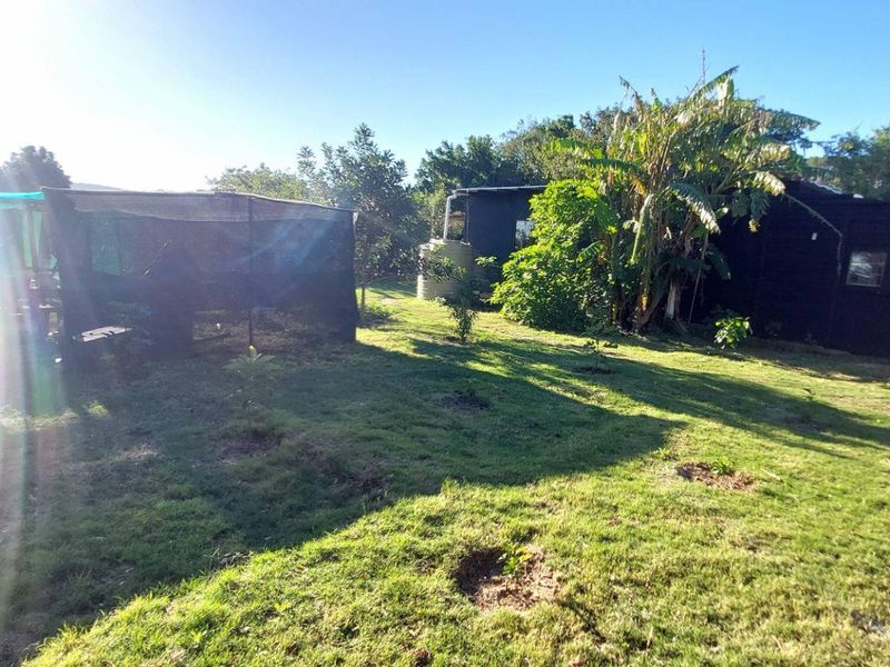 Bathurst Plot with Shed Converted into Cottage - Photo 8