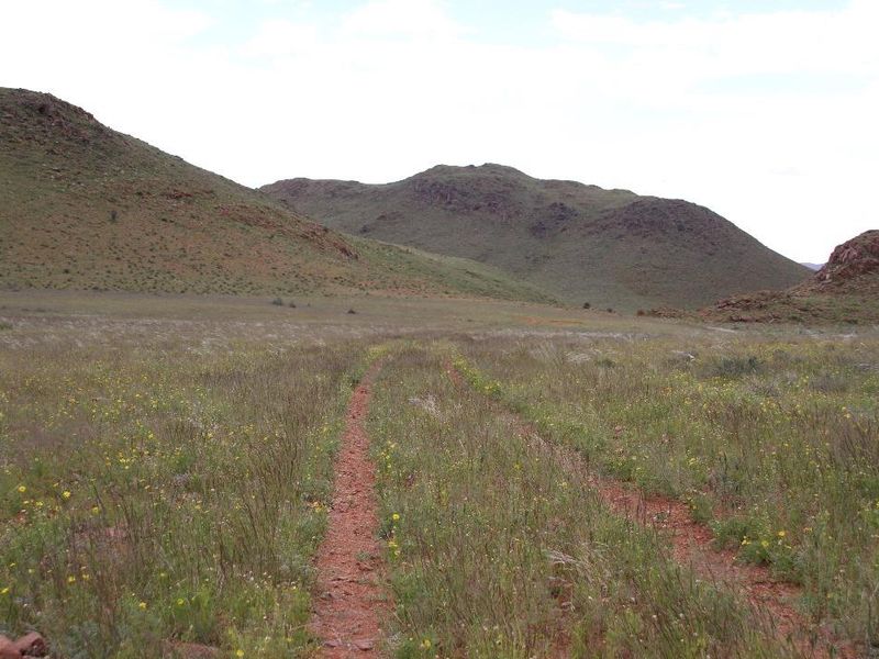 Farm, Wildlife & Serenity close to Helmeringhausen - Photo 4