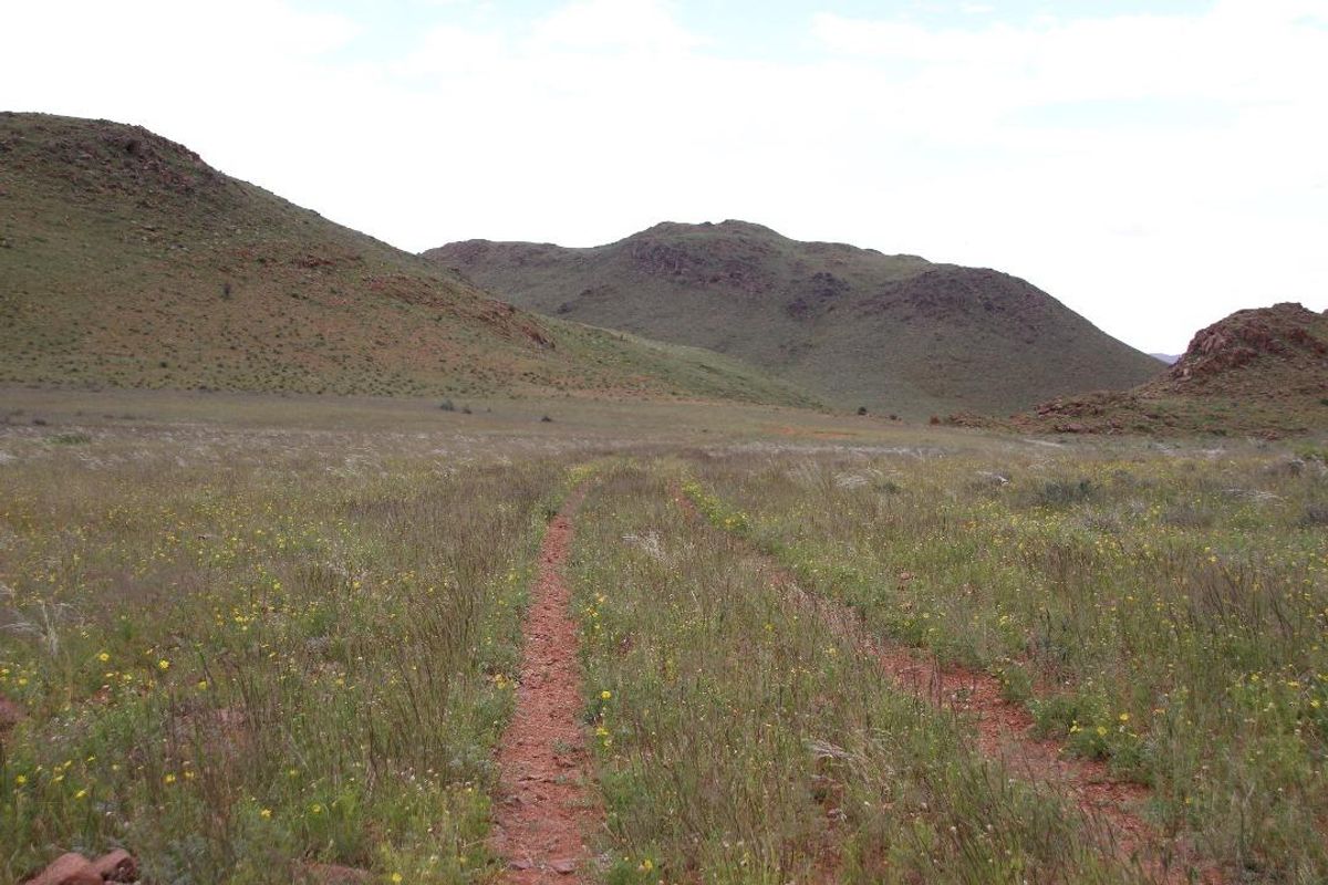 Farm, Wildlife & Serenity close to Helmeringhausen - Photo 4