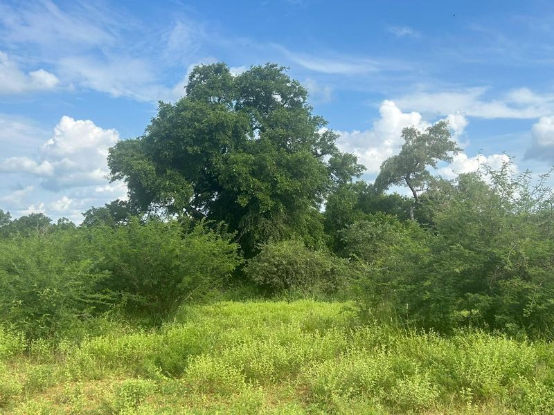 Vacant Land for sale in the new and popular Elephant Rock Eco Estate!! - Photo 6