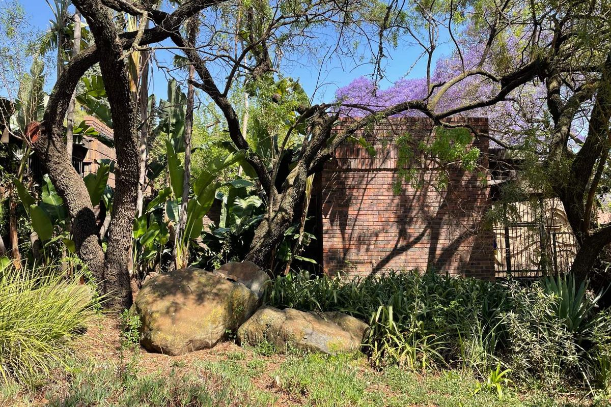 Renovaters dream on a large stand - Photo 4