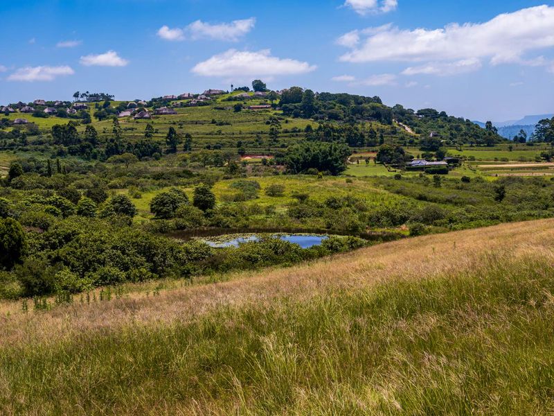 Peaceful Land in Stoneford Country Estate - Photo 2