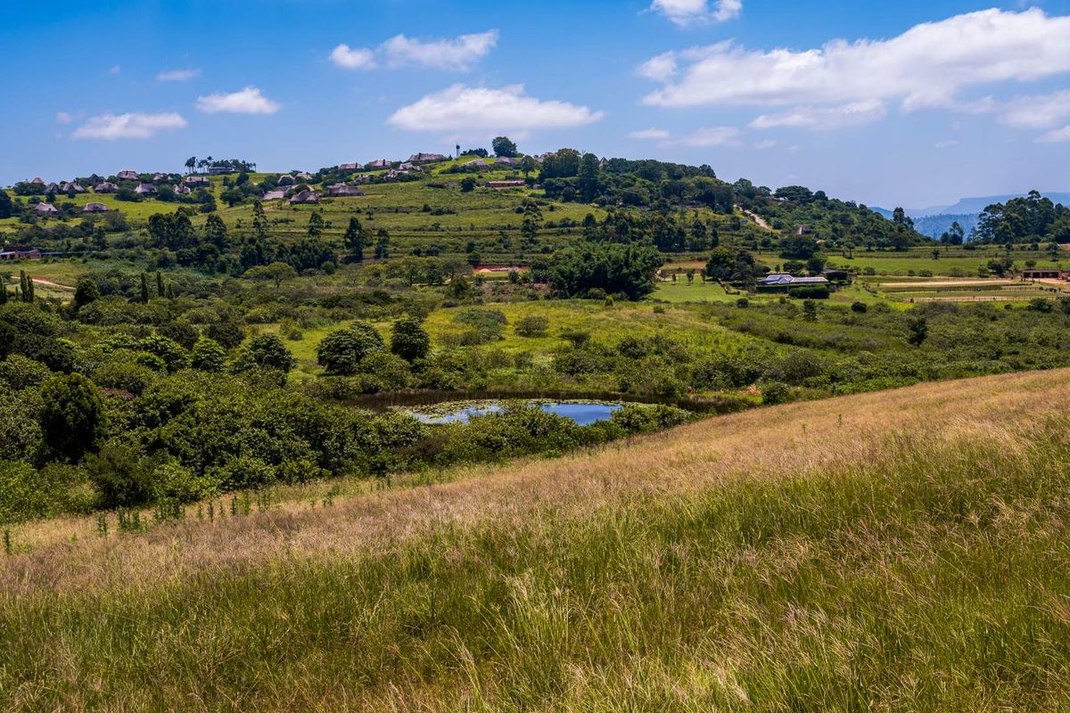 Peaceful Land in Stoneford Country Estate - Photo 2