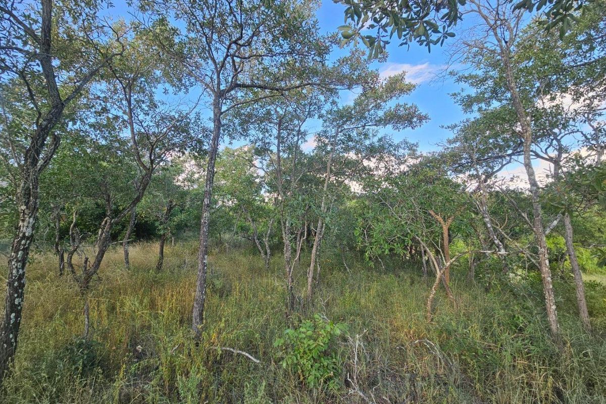 Vacant Land in MODITLO NATURE RESERVE - Photo 4