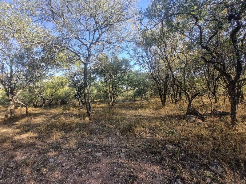 Stand with Bushveld views. - Photo 10