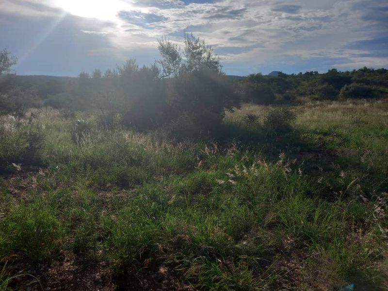 FIRST OF THE GRID MANAGED NATURE ESTATE - NISH LIVING - Photo 7