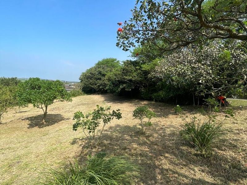 A view of the vacant residential land featuring established trees, shrubs, and a grassed area, offering a natural setting for potential development.